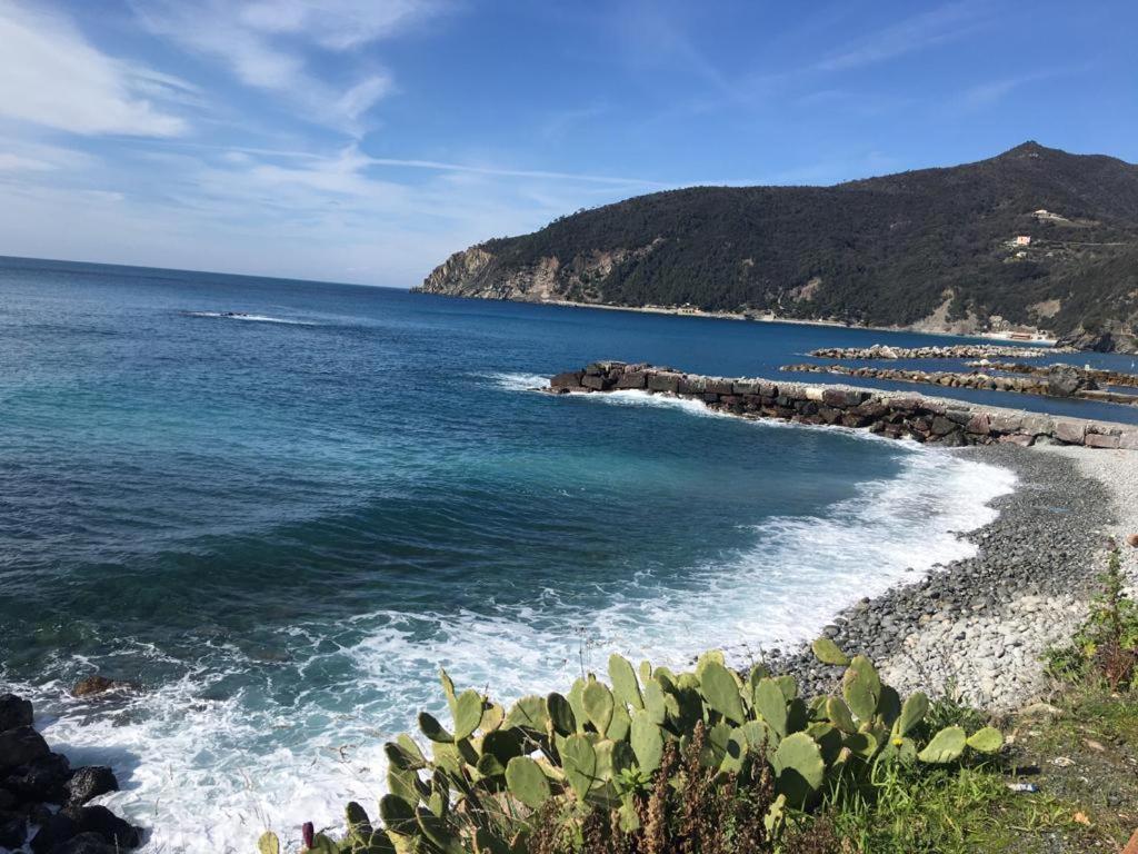 Moneglia Monte别墅 外观 照片